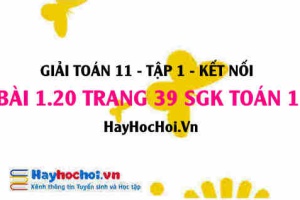 Giải bài 1.20 trang 39 Toán 11 tập 1 SGK Kết nối tri thức